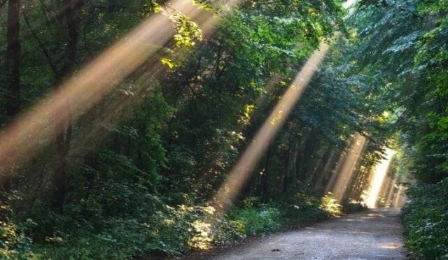 Gunesin-Insanlar-Icin-Onemi-3