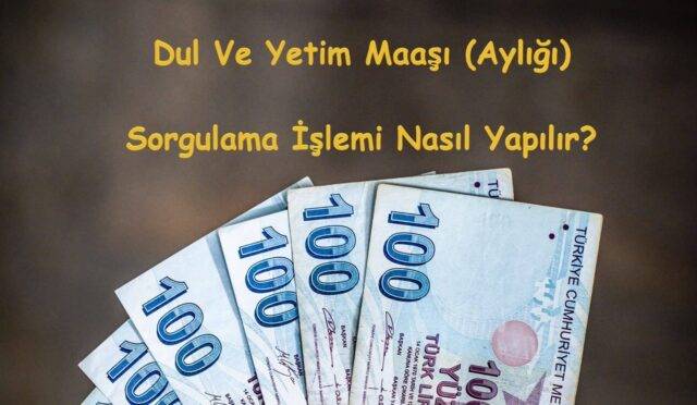 dul-ve-yetim-ayligi-sorgulama