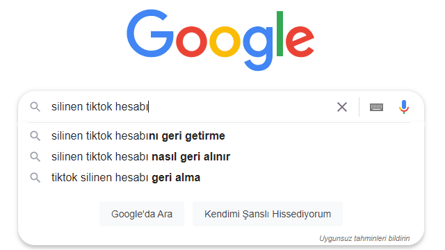 silinen-tiktok-hesabi-nasil-geri-getirilir