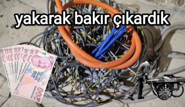 img-14d2d38ea595ab0466c6cd650111ef8f