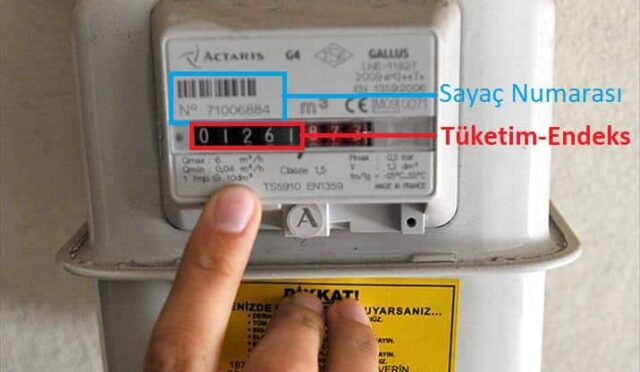 img-16813ad1addceda0cc617121d9c91fb5