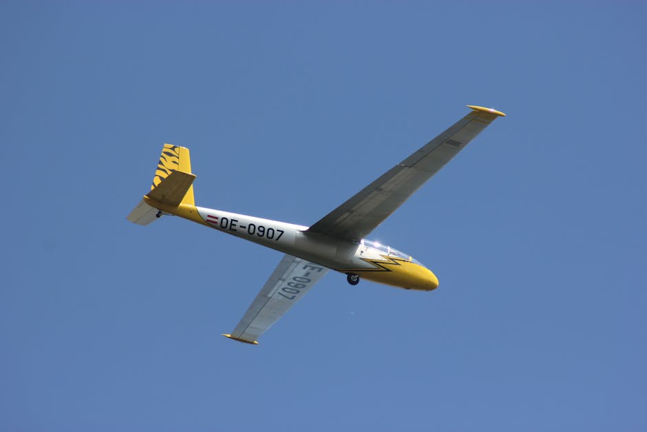 Aile ve Sosyal Hizmetler Bakanlığı logosu