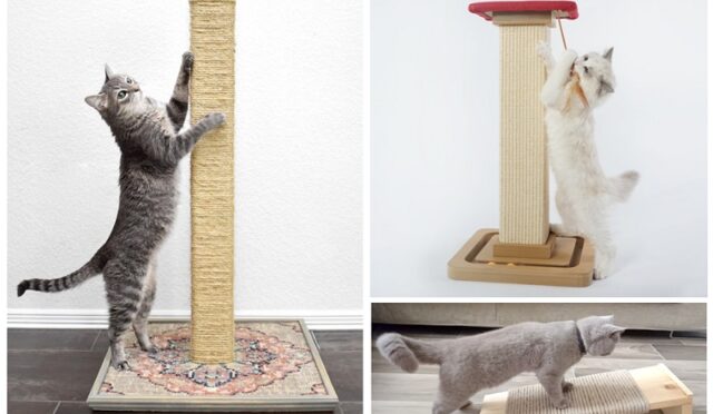 img-458e253b819b4ff302be582c3f930cb0