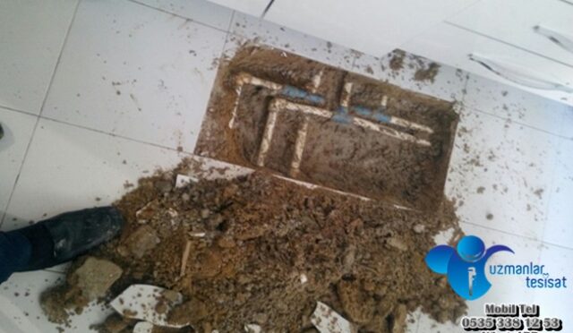 img-47845c2fc422feb6ee185cf34221e65c