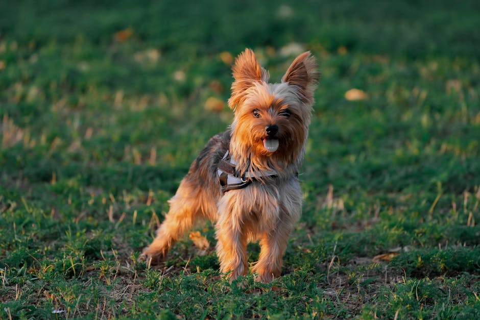 Evde bakım maaşı alan bir aile