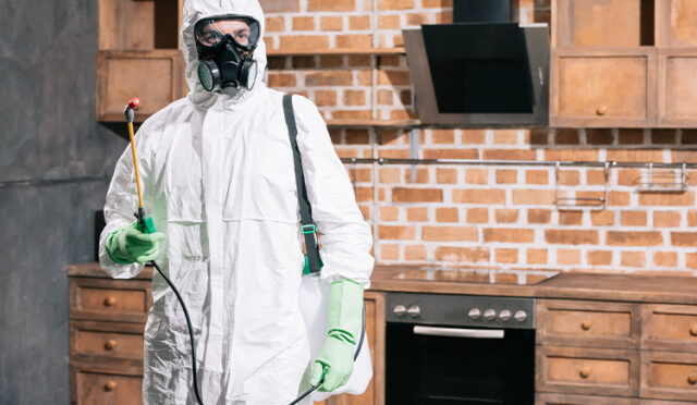 img-76d9dd495872f8a4d0b94e9e61f818df