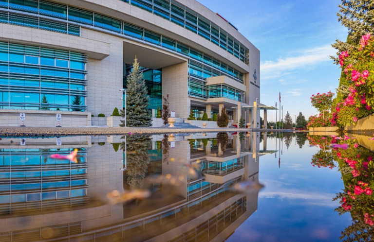 IMEI sorgulama sonucu ekran görüntüsü