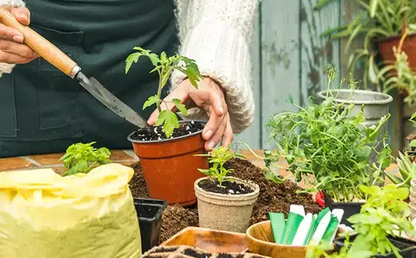 img-791f99e4558299bfe71970895f04e10d