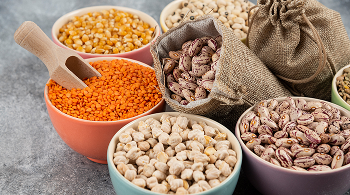 bitkisel_protein_kaynakları