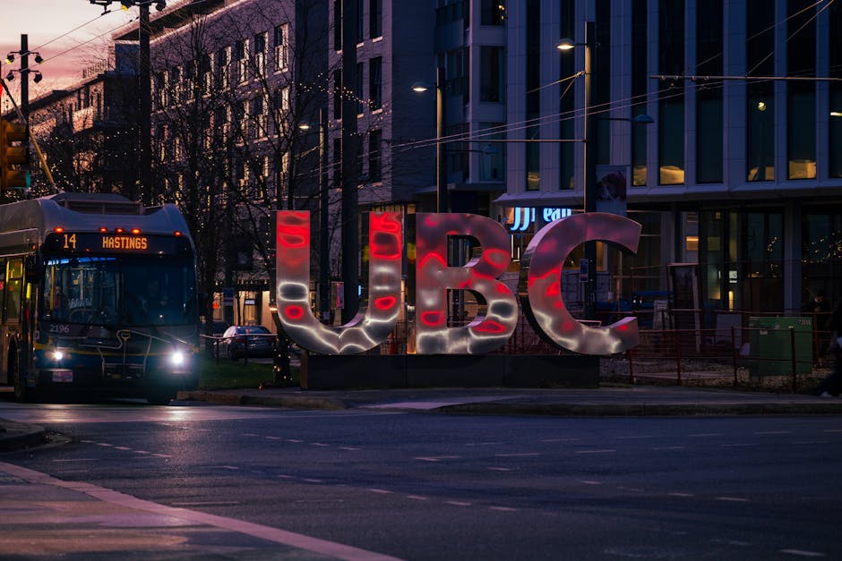 üniversite sınavına hazırlanan öğrenci