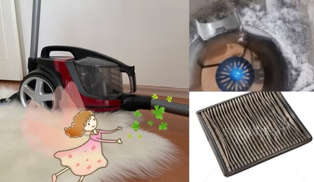 img-8016c3843de54b0f3b8b8c59748e1af1