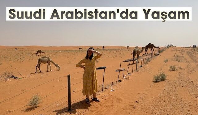 img-91f77cc9761a784ecb0a3d5b62526d88