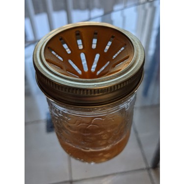 ev_yapimi_sinek_tuzagi