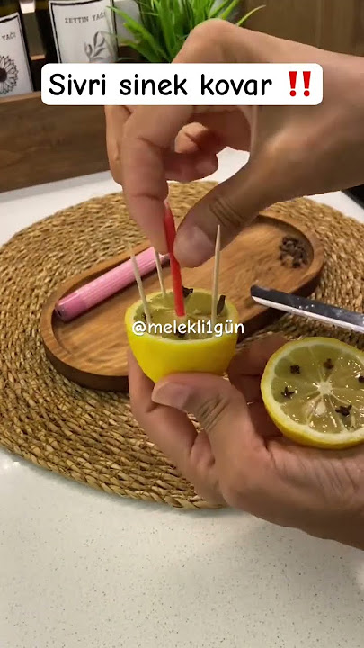 limon_karanfil_sinek_kovucu