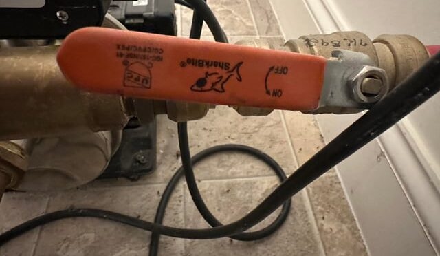 img-dfad226bf71abe2bad0590a809280725