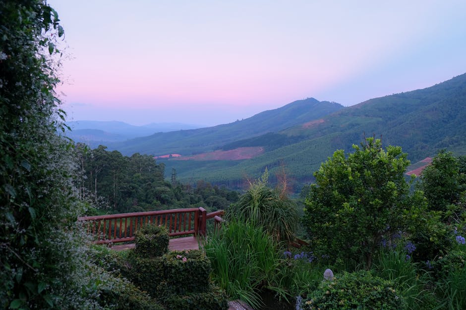 MTV zammı hesaplama ekranı