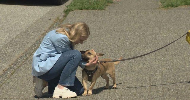 img-e7b056a8909bc2d9c255b90d4ff7e82c