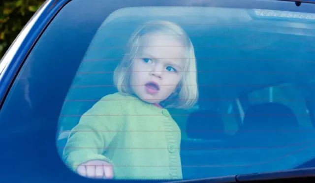 img-f204c43d1bcbd522b6392c04fb66e716