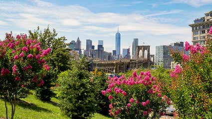 Instagram'da etkileşimli bir canlı yayın örneği