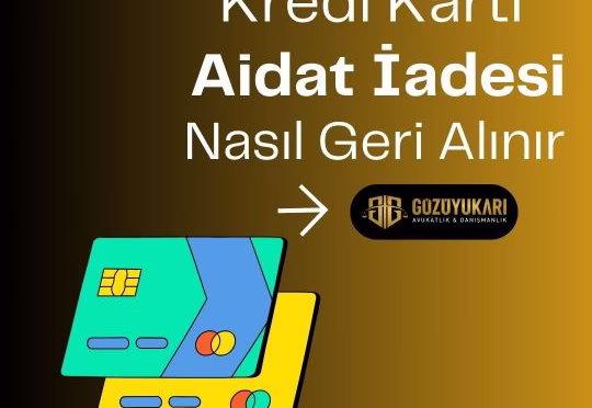 img-1c93c802d23bad09c52da8485c4eb073