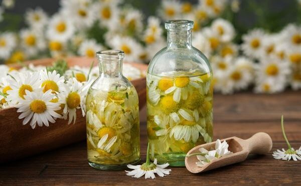 img-304657ab38ded9bee8e41172452597e3