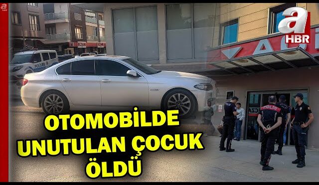 img-66c9a98b02391602b194479d7183db0f