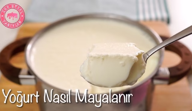 img-a91967ef7ba79e1849b18ac135475da1