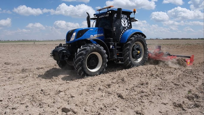 Evde Bitki Çimlendirme Yöntemleri: Adım Adım Rehber tohum_ekimi