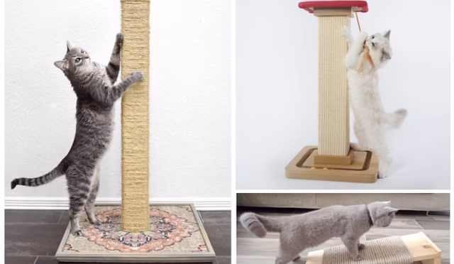 img-c076e10cb3a089a0fc5302b2075d40cc