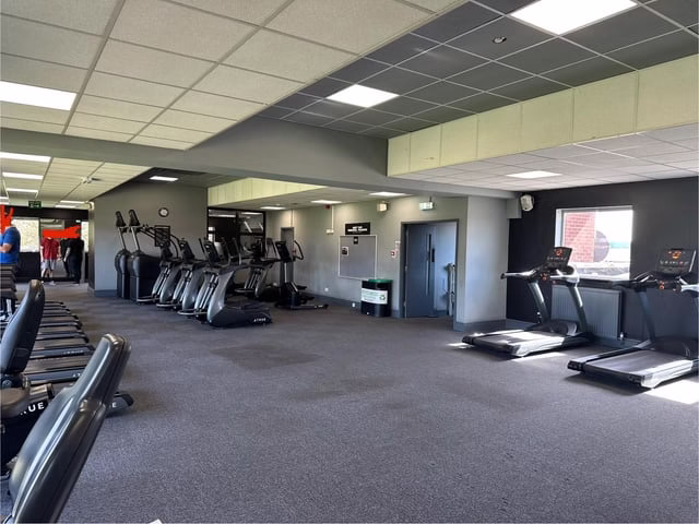 Spor yapan neşeli insanlar, açık havada egzersiz yapıyor