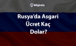 Rusyada-Asgari-Ucret-Kac-Dolar