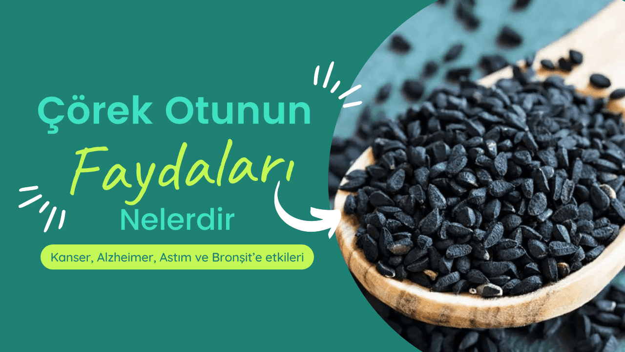 Çörek Otunun Faydaları Nelerdir?