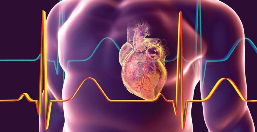 Kardiyoloji Nedir? Hangi Hastalıklara Bakar