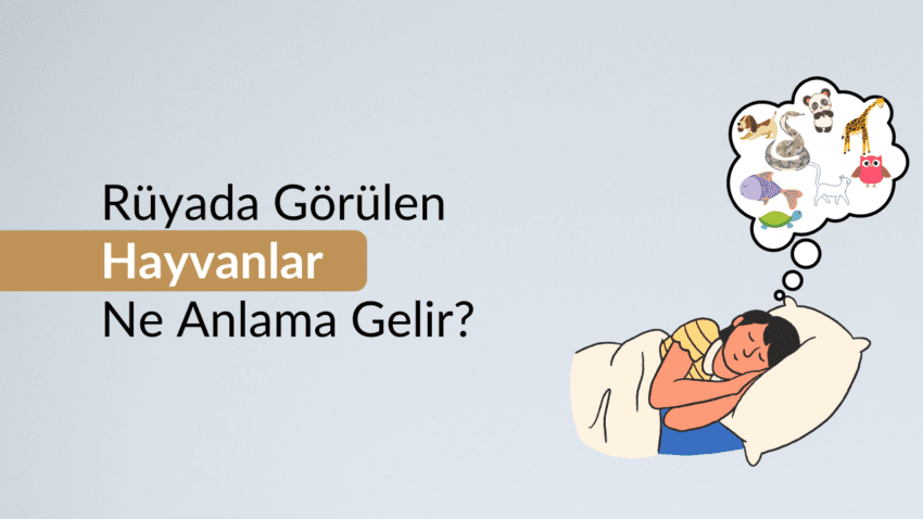 Rüyada Görülen Hayvanlar Ne Anlama Gelir?